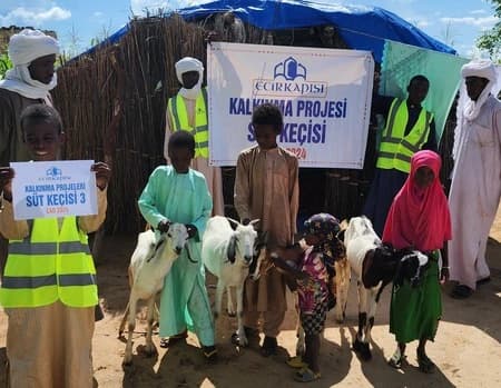 Afrika Süt Keçisi Projesi